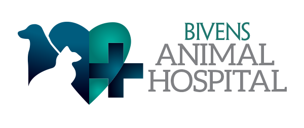 Bivens Animal Hospital On Duncan Road